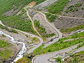 DSC_7981.JPG