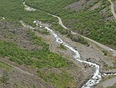 DSC_7983.JPG