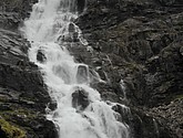 DSC_7985.JPG