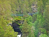 DSC_7992.JPG