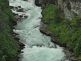 DSC_7993.JPG