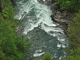 DSC_7994.JPG