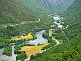DSC_7998.JPG