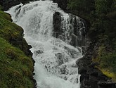 DSC_8021.JPG