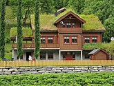 DSC_8044.JPG