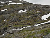 DSC_8048.JPG