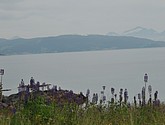 DSC_8053.JPG