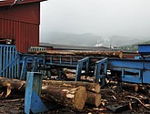 DSC_8074.JPG