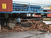 DSC_8077.JPG