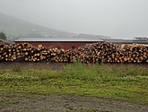 DSC_8084.JPG