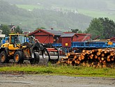 DSC_8086.JPG