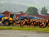 DSC_8087.JPG