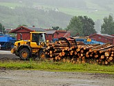 DSC_8088.JPG