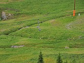 DSC_8097.JPG
