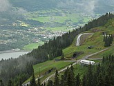 DSC_8100.JPG