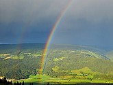 DSC_8108.JPG