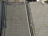 DSC_8116.JPG