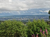 DSC_8124.JPG