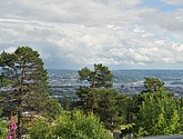 DSC_8125.JPG