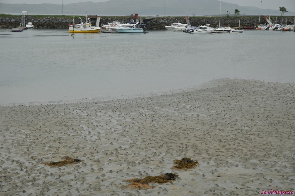 dsc_2054.jpg