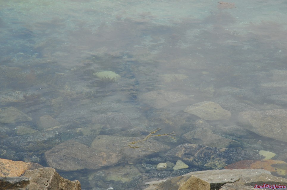 dsc_2063.jpg