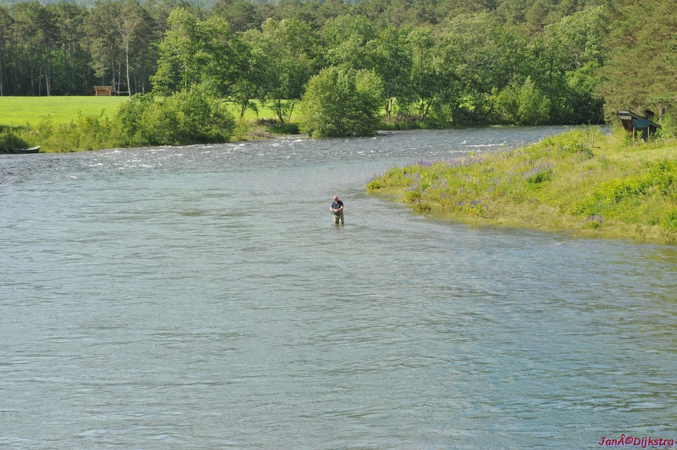 dsc_2090.jpg