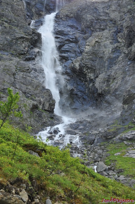 dsc_2153.jpg