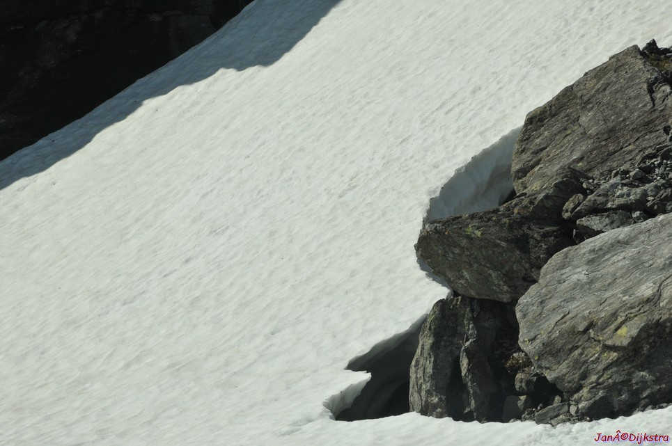 dsc_2166.jpg