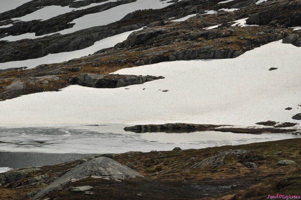 dsc_2187.jpg
