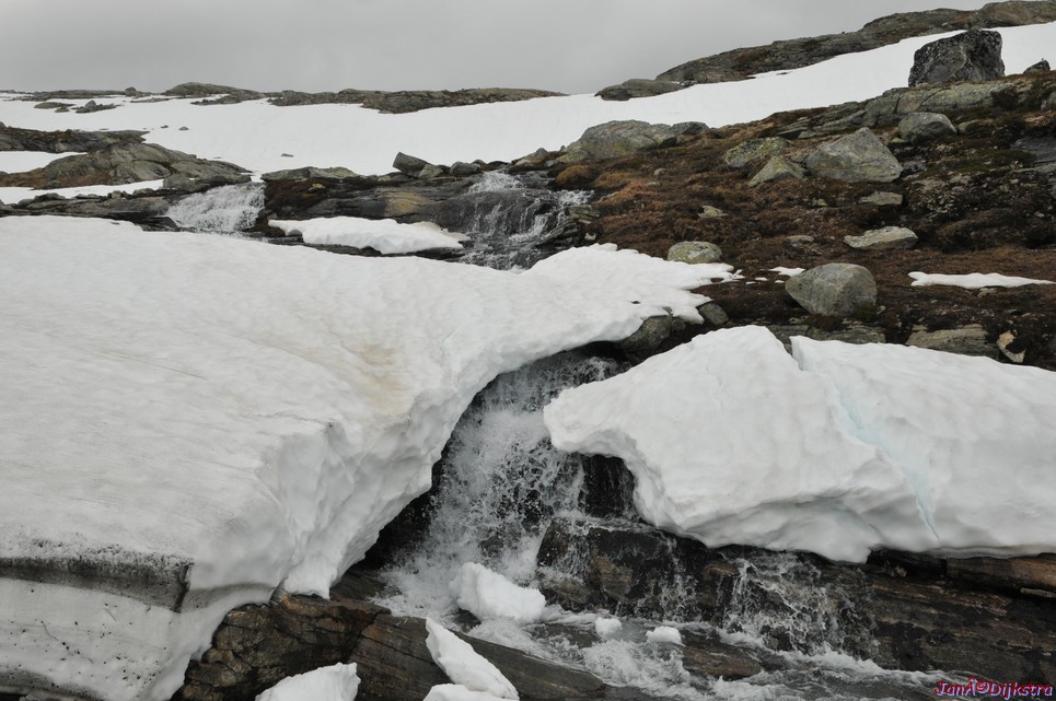 dsc_2206.jpg