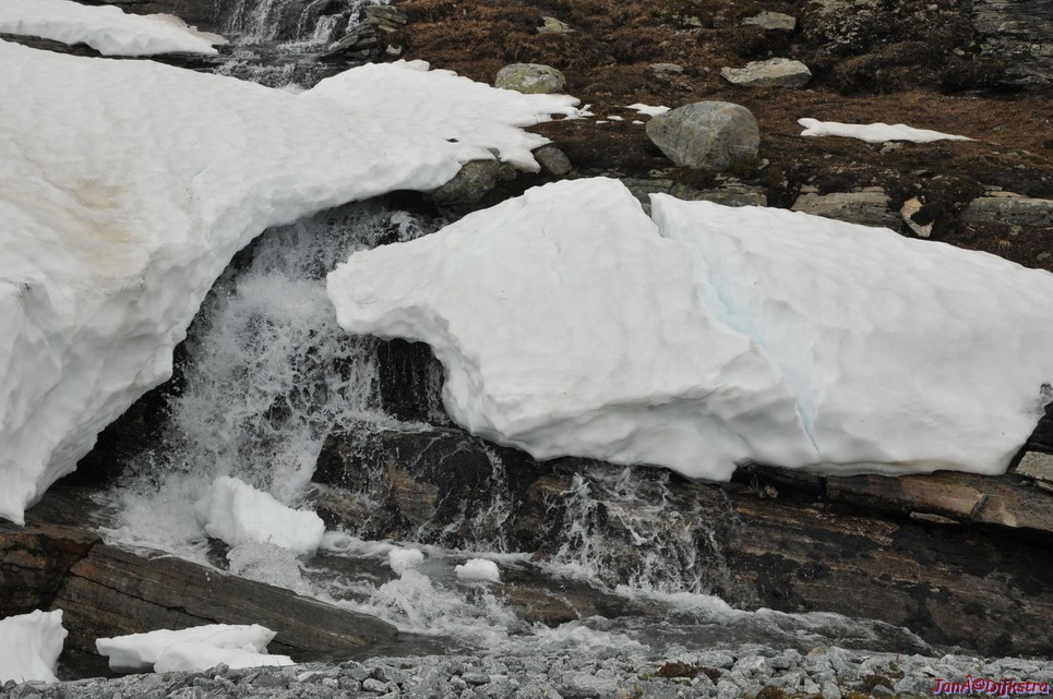 dsc_2207.jpg