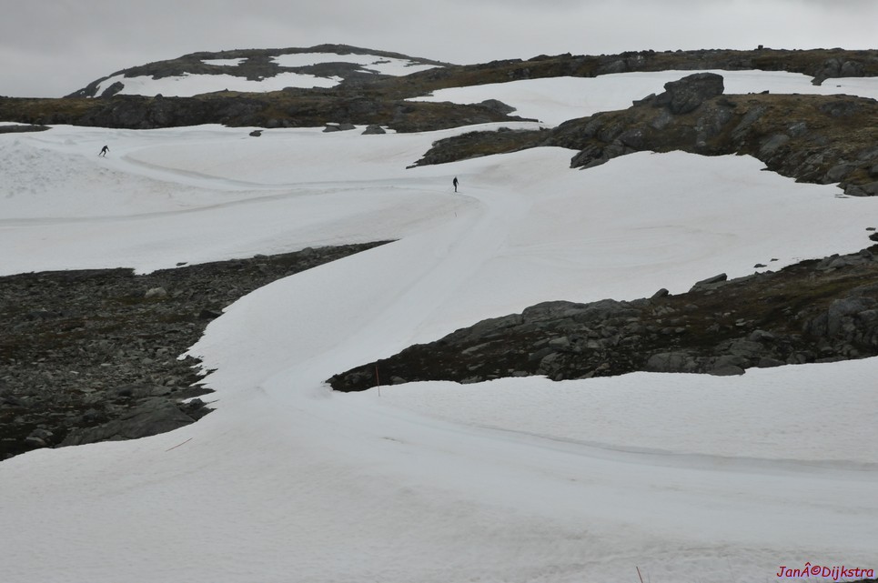 dsc_2252.jpg