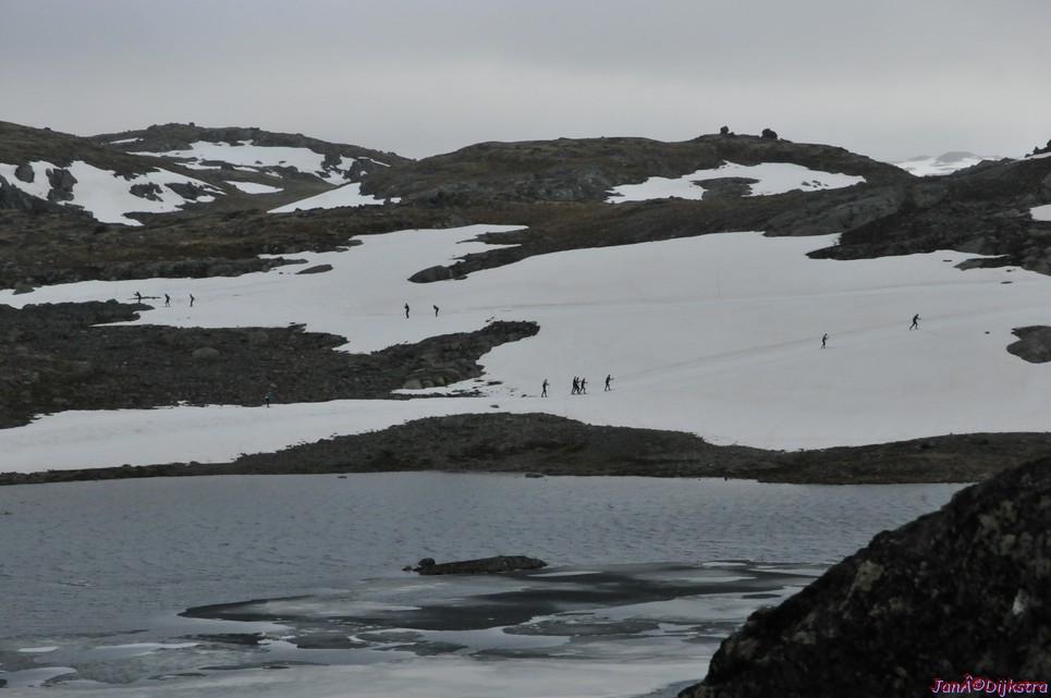 dsc_2262.jpg