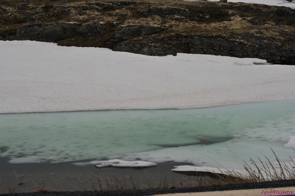 dsc_2274.jpg