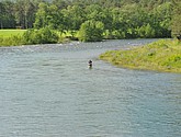 dsc_2090.jpg