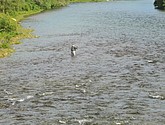 dsc_2097.jpg