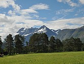 dsc_2104.jpg