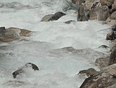 dsc_2115.jpg