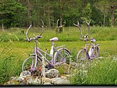 dsc_2121.jpg