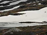 dsc_2187.jpg