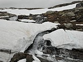 dsc_2206.jpg