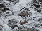 dsc_2210.jpg