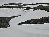 dsc_2252.jpg