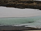 dsc_2274.jpg