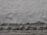 dsc_2276.jpg
