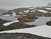 dsc_2284.jpg