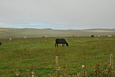 dsc_9569.jpg