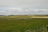 dsc_9571.jpg