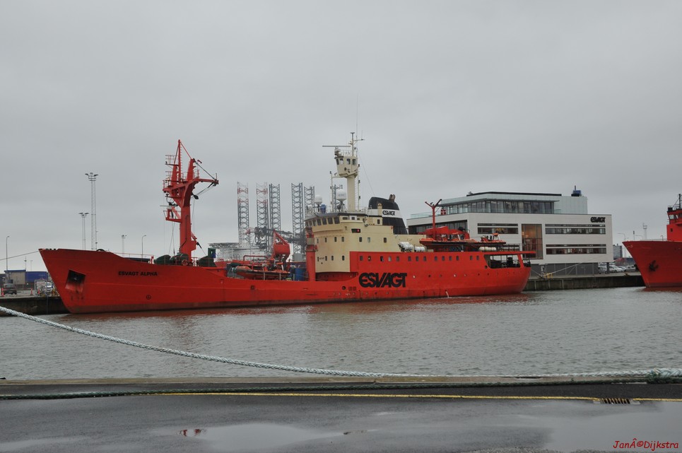 DSC_0388.JPG