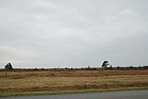 DSC_0403.JPG